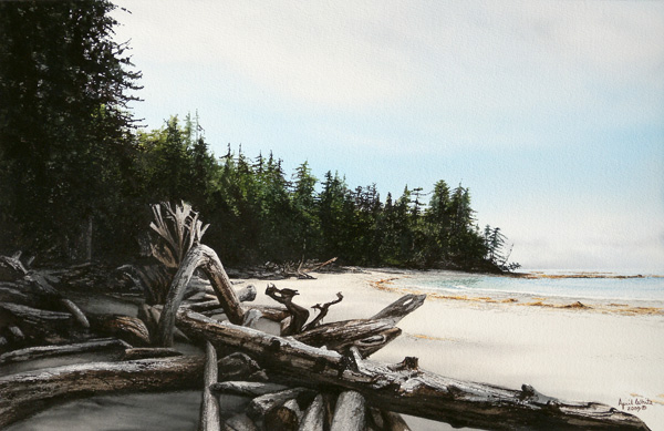 Beginning of the Trail (Lepas Bay - Haida Gwaii)