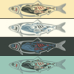 Iinang Xaadee--Kun ~ Herring People--Humpback Whale