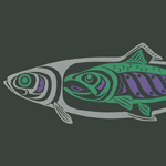 Iinang Xaadee--Tsiin III ~ Herring People--Salmon III